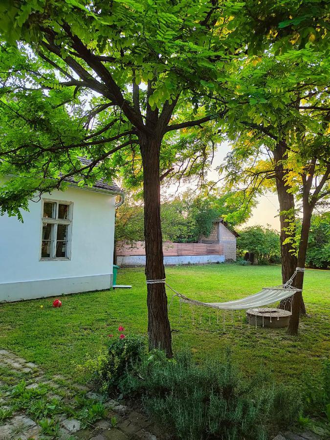 Ethno&Coffee House Tulip Bed and Breakfast Glozan Exteriör bild