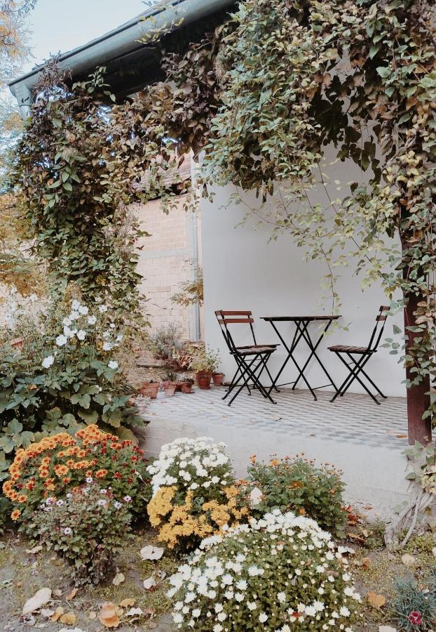 Ethno&Coffee House Tulip Bed and Breakfast Glozan Exteriör bild