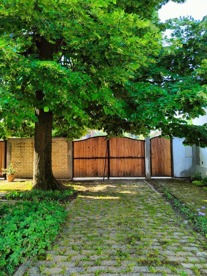 Ethno&Coffee House Tulip Bed and Breakfast Glozan Exteriör bild