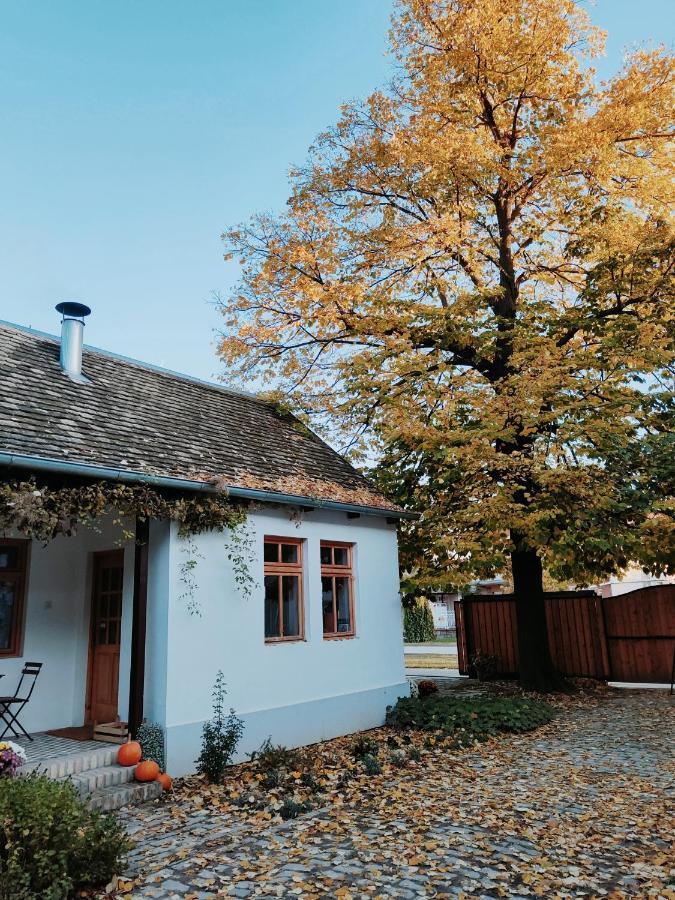 Ethno&Coffee House Tulip Bed and Breakfast Glozan Exteriör bild