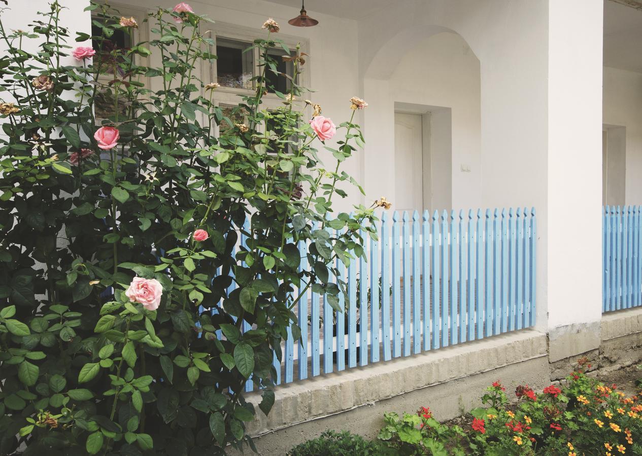 Ethno&Coffee House Tulip Bed and Breakfast Glozan Exteriör bild